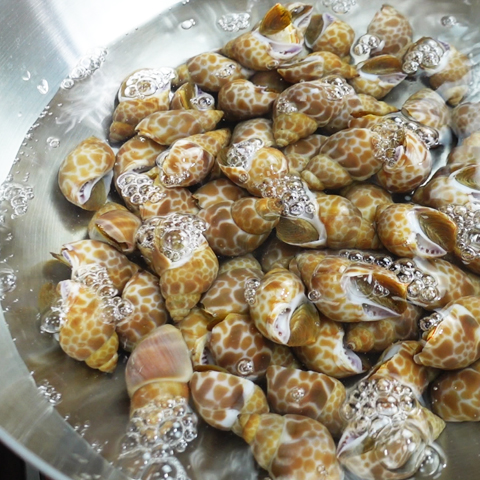 水滾後，關火川燙鳳螺1~2分鐘，撈起後備用